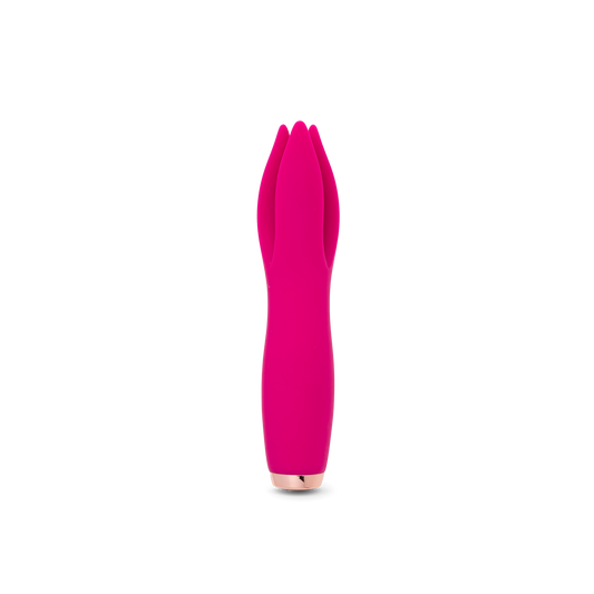 Tulip